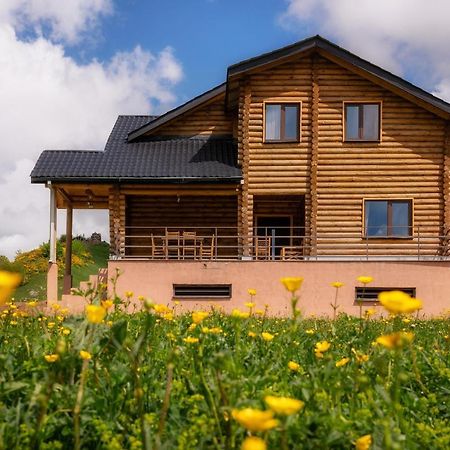 Snow Time Eco Chalet Gudauri Esterno foto