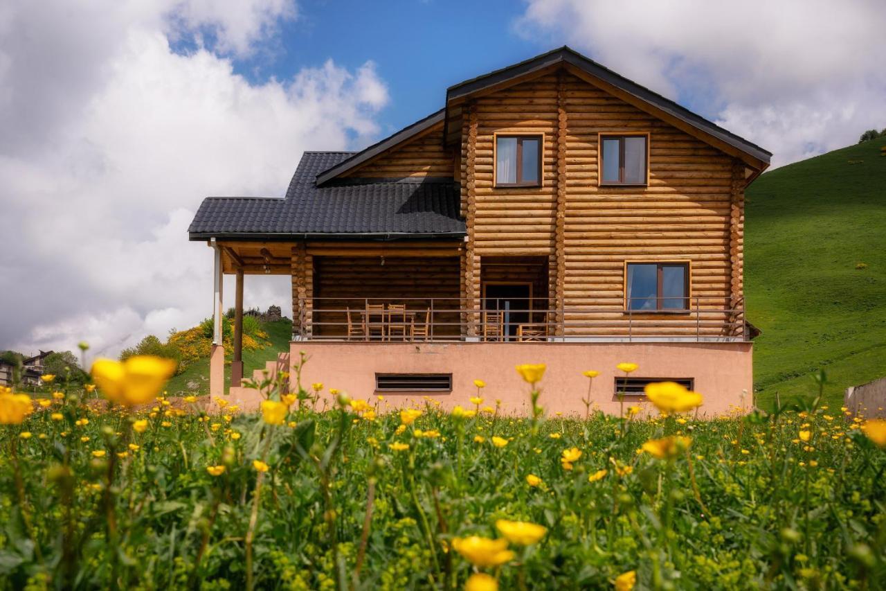 Snow Time Eco Chalet Gudauri Esterno foto